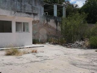 Terreno en renta el col. Centro Merida Yucatan