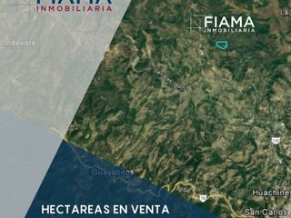 HECTAREAS EN VENTA EN EL POBLADO EL TRAPICHILLO, TEPIC (CC)