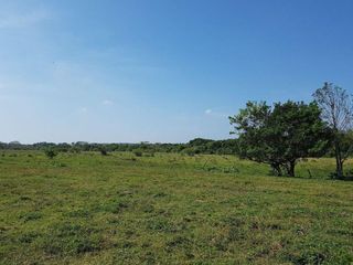 Terreno de 10 hectáreas en venta  en la zona RIVIERA VERACRUZANA, VER.