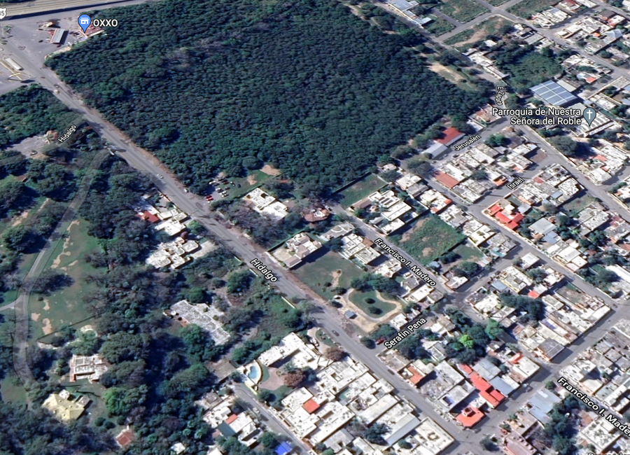 Terreno comercial en renta Linares Nuevo León