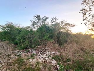 Terreno en venta 1 hectárea en Chichi Suarez al Norte-Oriente de Mérida Yucatan