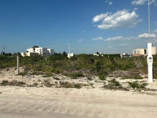 Terreno en venta Chicxulub  Yucatán | A 150 mts del mar |