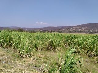 Vendo terreno agricola de riego de 1.0 Ha., en Alpuyeca Morelos