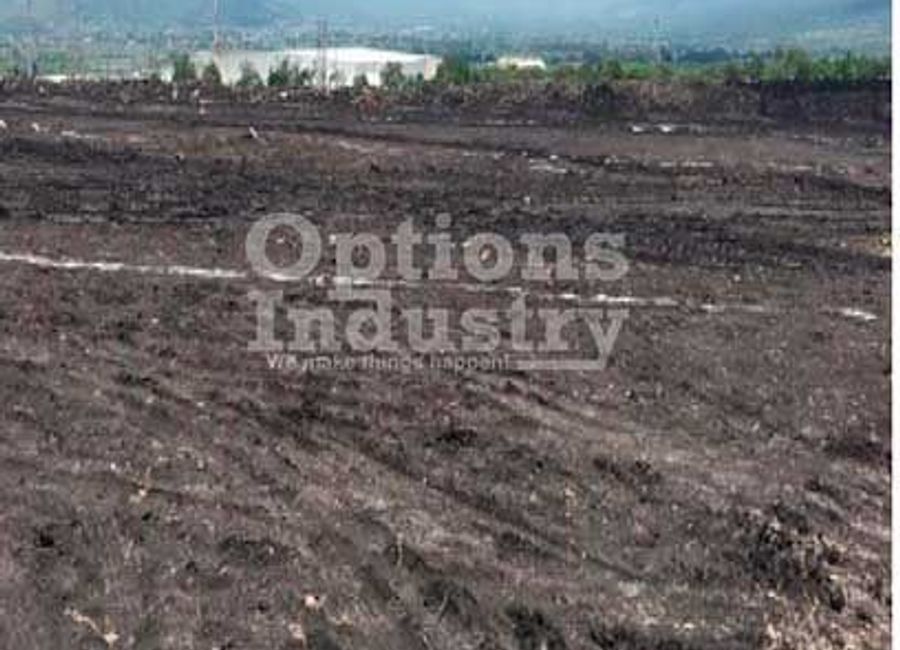 Land for rent Celaya