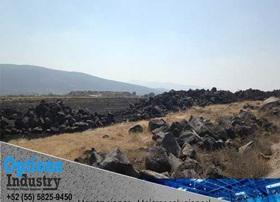 Land for rent Celaya