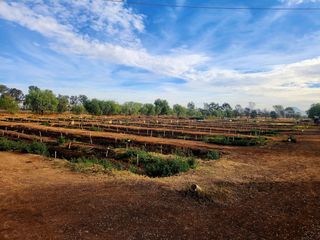 Venta Terreno agroindustrial zona agropecuariaRincón de Romos Ags
