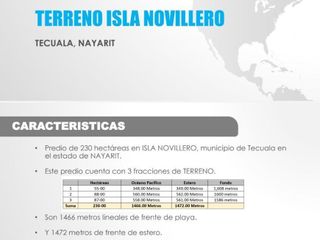 TERRENO EN VENTA EN ISLA NOVILLERO $73,600,000