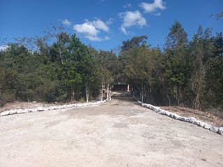 Terreno en Venta de 1,000 hectareas, Cancún Quintana Roo.