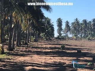 Terrenos en Playas de Mazatlán e Isla de la Piedra