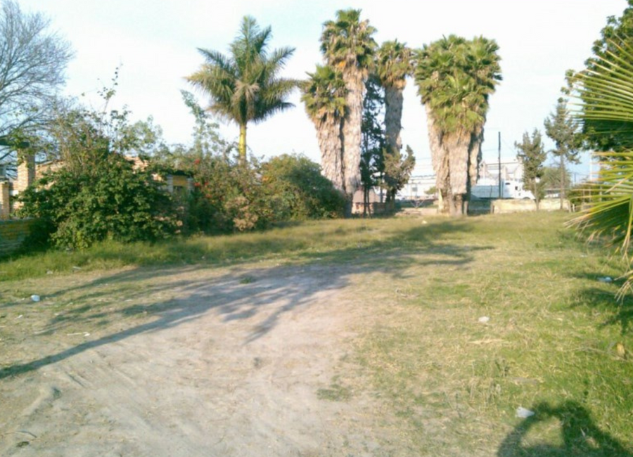 place photo 7