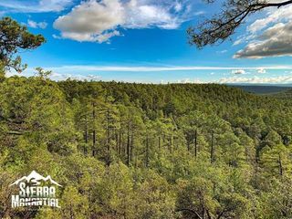 En venta lotes en Fraccionamiento Campestre Sierra Manantial