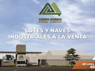 LOTES  Y NAVE EN VENTA EN CARR A ZARAGOZA SLP