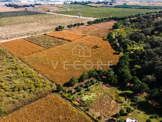 TERRENO EN VENTA EN NEXTIPAC, ZAPOPAN