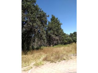 VENDO LOTES  A 10 MINS. DE ENTRADA A  APIZACO