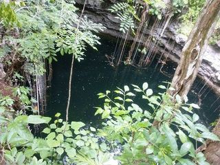 En venta terreno de 20 Has, con Cenote abierto, muy bonito.