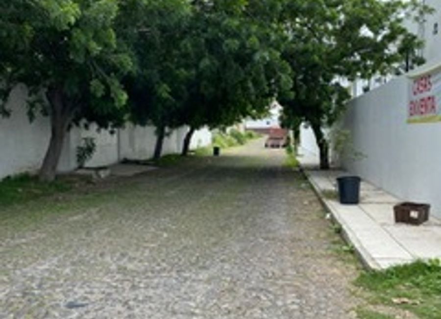 place photo 26