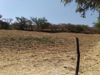 Vendo terreno agrícola de riego de 1.4 Has., en Alpuyeca Morelos
