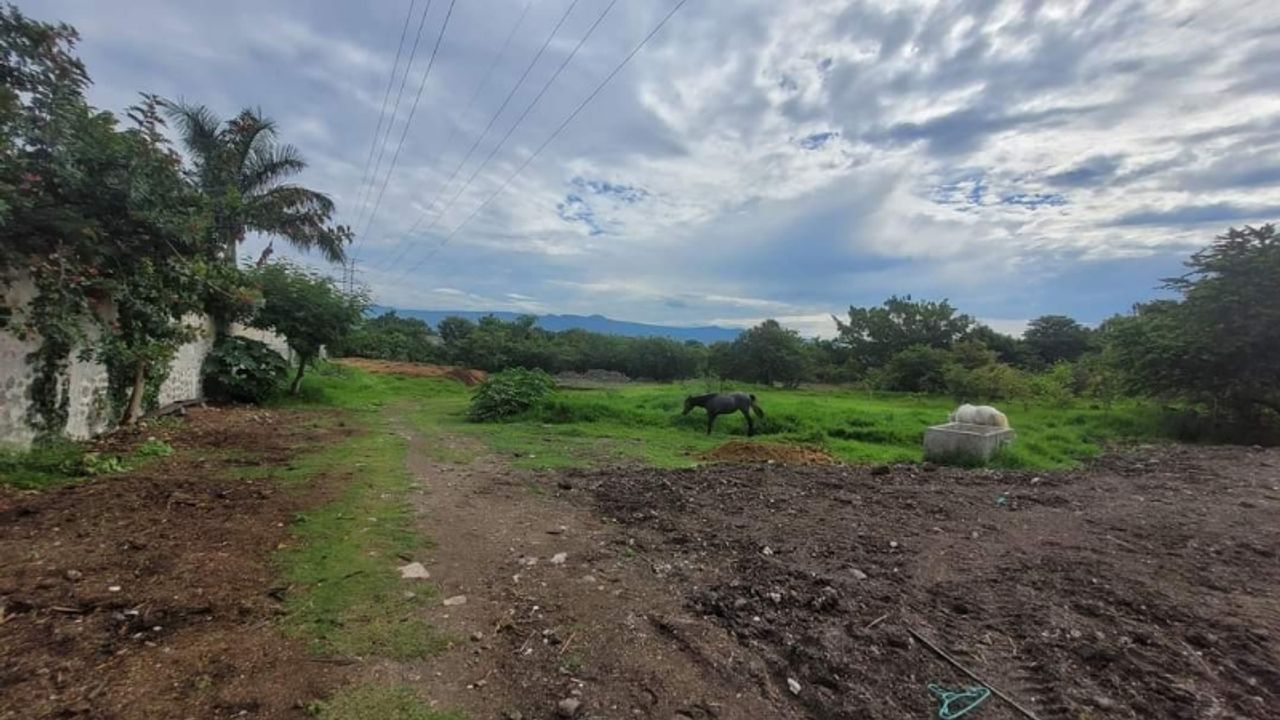 VENTA DE TERENO EN LOS PINOS JIUTEPEC, MORELOS.