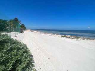 Terreno Frente al mar en San Crisanto Yucatan