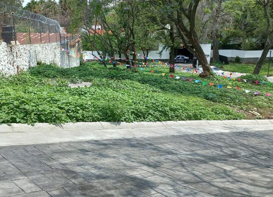 place photo 6