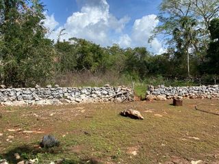 Rancho en Mayapan de 111 hectareas propiedad privada