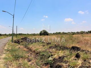 LA PALMA: MAGNIFICO TERRENO PROPIO PARA USO AGRICOLA O INDUSTRIAL.