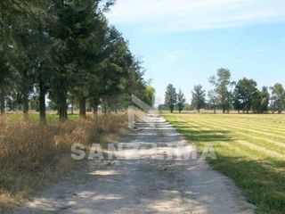 SAN MIGUEL OCTOPAN: EJIDO RANCHO NUEVO, TERRENO AGRICOLA O INDUSTRIAL, EN CELAYA