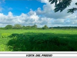 Terreno en venta, Rancho de 116.8 ha. en zona Manlio Fabio Altamirano, Veracruz