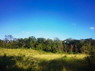 28 hectareas con cenote cerca de atracciones naturales turísticas de Yucatán