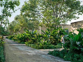 Terreno en venta en Hacienda San Eduardo, Telchac, Yucatán