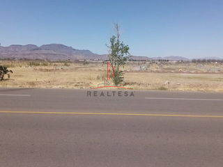 Terreno Renta Cd. Meoqui, Chihuahua 10,000 AramarRGC