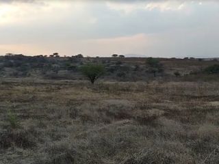 SE VENDE TERRENO CON USO DE SUELO INDUSTRIAL MUY CERCA DE TULA  JOROBAS