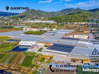 Querétaro, lote industrial en renta