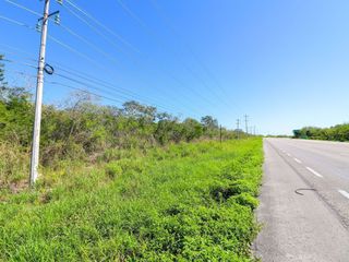 Terreno en venta de 10 hectáreas sobre carretera Motul - Mérida.