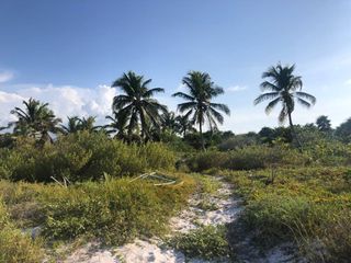 Terreno en venta Holbox playa Punta Mosquito con escrituración inmediata