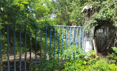 Terreno en venta Caifanes, Alpuyeca Xochitepec, Morelos