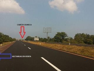 3.78 HECTAREAS EN VENTA A ORILLA DE CARRETERA, AUTOPISTA VER-CORDOBA.