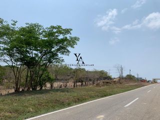 Rancho en Venta 150ha $ 19,500,000,000 Pijijiapan Tonalá Chiapas Jorcho YA