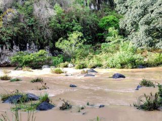 Terreno en propiedad de 60 Ha con 2 ríos en Cerro Gordo Veracruz