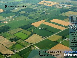 Sale and Rent in Tepejí del Río of industrial lots