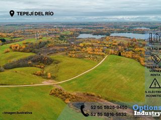 Compra inmediata de terreno industrial en Tepejí del Río