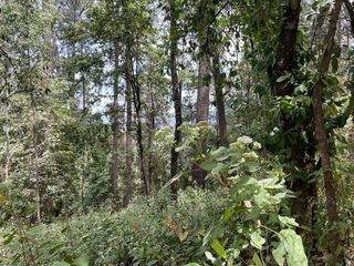 Terreno en venta en Cerro Gordo, Valle de Bravo