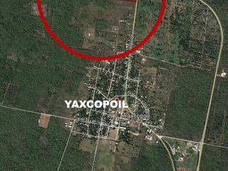 Venta de Terreno en Yaxcopoil sobre Carretera Federal.