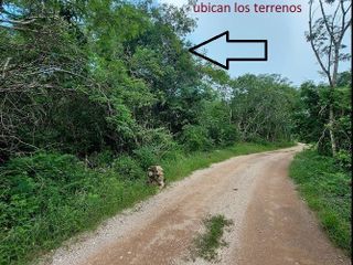 Terreno rustico en zona Chicxulub pueblo