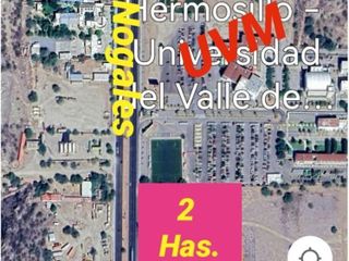 Terreno en VENTA  de  20,000 m2 frente carret Nogales UVM