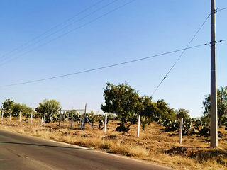 Terreno en Hidalgo, cerca del proyecto PLATAH