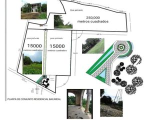 Terreno en venta en Baca ideal para desarrollar