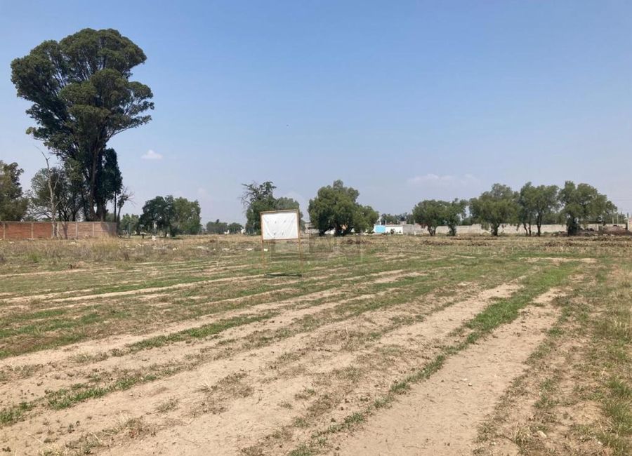 Terreno comercial en renta en Los Reyes San Salvador, Texcoco, México