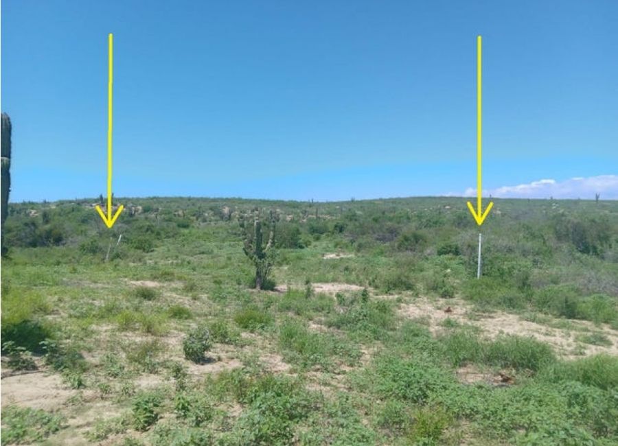 house for sale LOTE 34, LAND FOR SALE,TODOS SANTOS BCS, Pacific