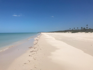 Venta de terreno en playa Sisal Yucatán